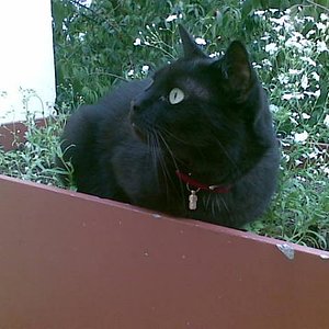 Ziri genießt ihre neue Freiheit