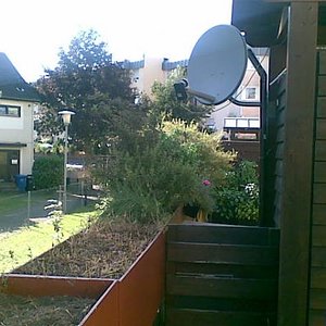 Direkt hier hinter ist eine Regentonne, die nicht immer abgedeckt ist. :(