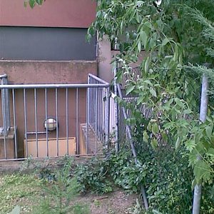 Voransicht des Platzes, wo evtl. eine Katzentreppe hinkönnte....