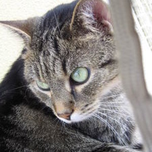 400 3330616130366537