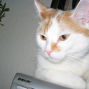 400 3732303663626465