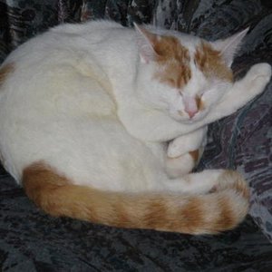 1280 3035306533396638