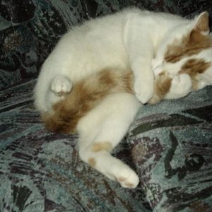 1280 3931346333626361