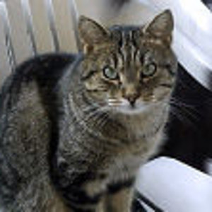 1280 3862373632646238