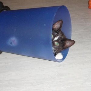 ..Justy im Eimer! ;-)