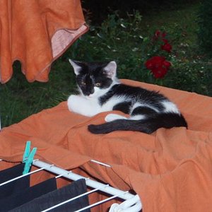 Ich falle hier nicht durch die Ritzen! ...Ich nicht! *gg