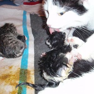 Diesen Abend werde ich nie vergessen! :-)