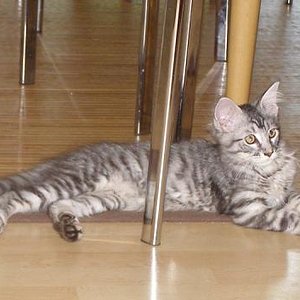 Enrico mit 14 Wochen