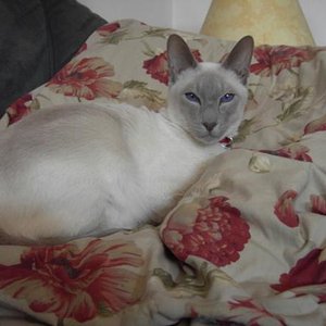 Er scheint in die Kamera zu lächeln