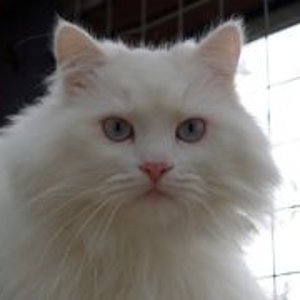 Mein Erzählbärchen :-)