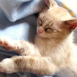 l c38d8230f8c544539654e460dcb99c6c