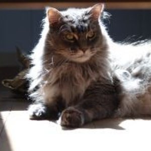 Mijou meine süsse Zaubermaus.