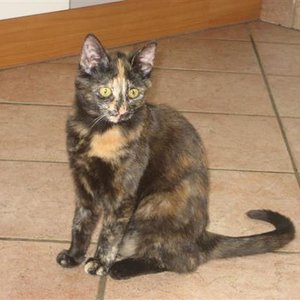 Mein zierliches Mäuschen - du warst 5 Monate alt, als du zu uns kamst und wogst nur 1700 g.