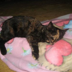 Dies war dein erster Tag bei uns. Du hast dich gleich wie zu Hause gefühlt.