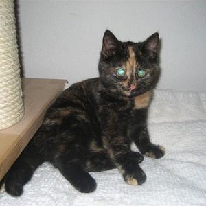 So frech wie du hier aussiehst, warst du auch.