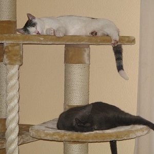 Fibi und Pauli(nchen)