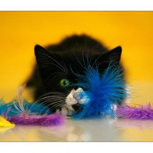 Die kleine Barbie...