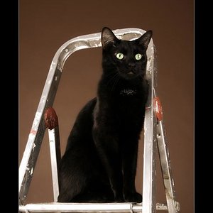 Devil ist unser Angsthase.