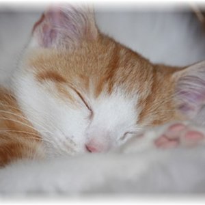 Großer kleiner Maxl ;-)