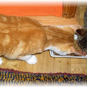 zu zweit schmeckts besser