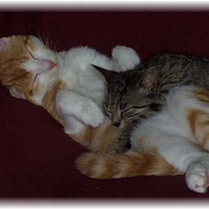 kuscheln ist sooo schön