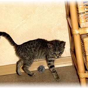 Ich muss jetzt viel futtern! So kam ich bei meinen Dosis an