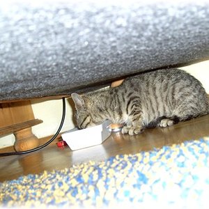 Ich bin noch ängstlich