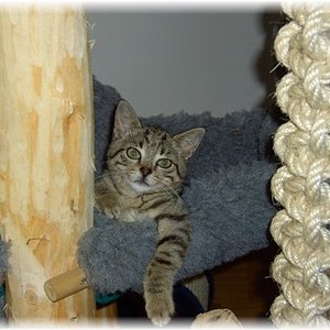 ...mit großen Augen