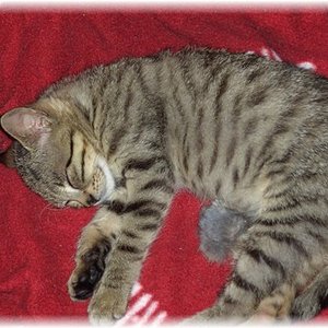 ein paar Kilos habe ich schon mehr