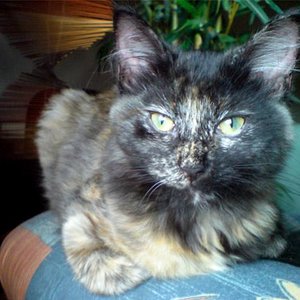 Madame Sommersprosse :P