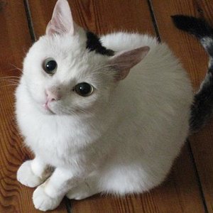 ja wie...ich will aber noch mehr Fresschen...