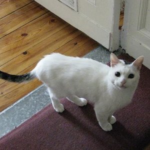 was fotografierst du denn dauernd so doof? ich will beschäftigung, keine bilder!