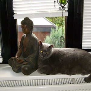 Clarky bei Buddha