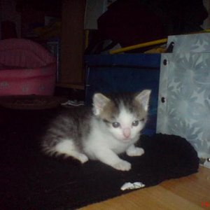 C.J. ist auch 4 Wochen alt