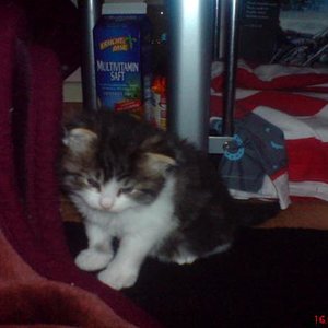 Yuma ist 4Wochen alt