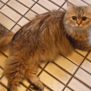 Meine süsse Mama Fee!!