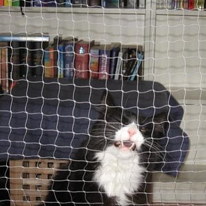 Ich will dir fressen...