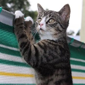 Mittlerweile kann sie schon locker über das Geländer gucken...