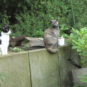 Julia und Lilli auf Terassenmäuerchen