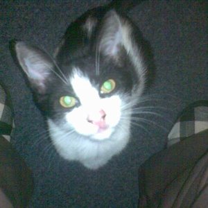 1 6a31cbb08d0c52f72127632b608d9fd5[1]