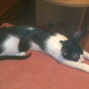 1 7b5bdeaf93198beb5318f3e1689ca9e7[1]