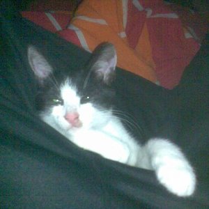 1 813c74fc46184a038f3497d41b781e26[1]