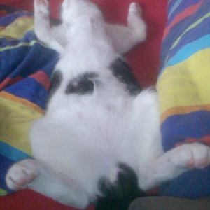 RELAX.... So schläft er immer.. =)