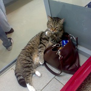 Fratz: Ohne mich kommt ihr hier nicht raus :-)