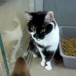 Rabauke: Wann komm ich endlich aus dem Heim :-)