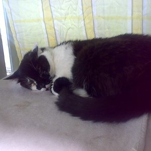 Rabauke: Ich bin krank und fertig, wird Zeit das ich mal zur Ruhe komme.