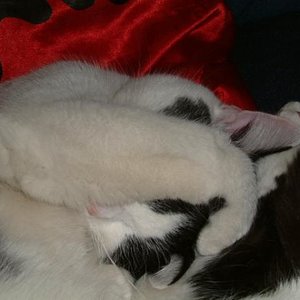 du siehst mich nicht