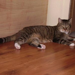 Fratz: Erst mal Pause machen bevor weiter "geschnüffelt" wird