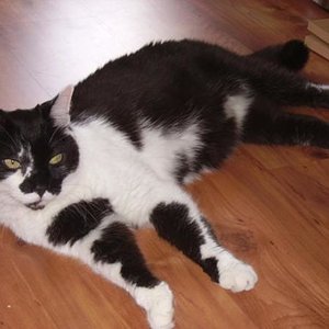 Rabauke: Hier werd ich mich wohl fühlen, egal was es noch zu entdecken gibt.