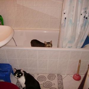 F&R: MIST !!! Erwischt ! Mönsch Dosi, woher weisst du, dass wir das Bad erkunden?